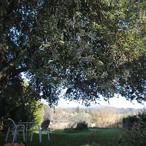 Appartamento Fattoria Di Malavolta 